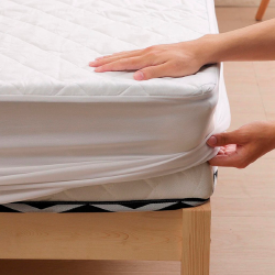 Mattress Protector